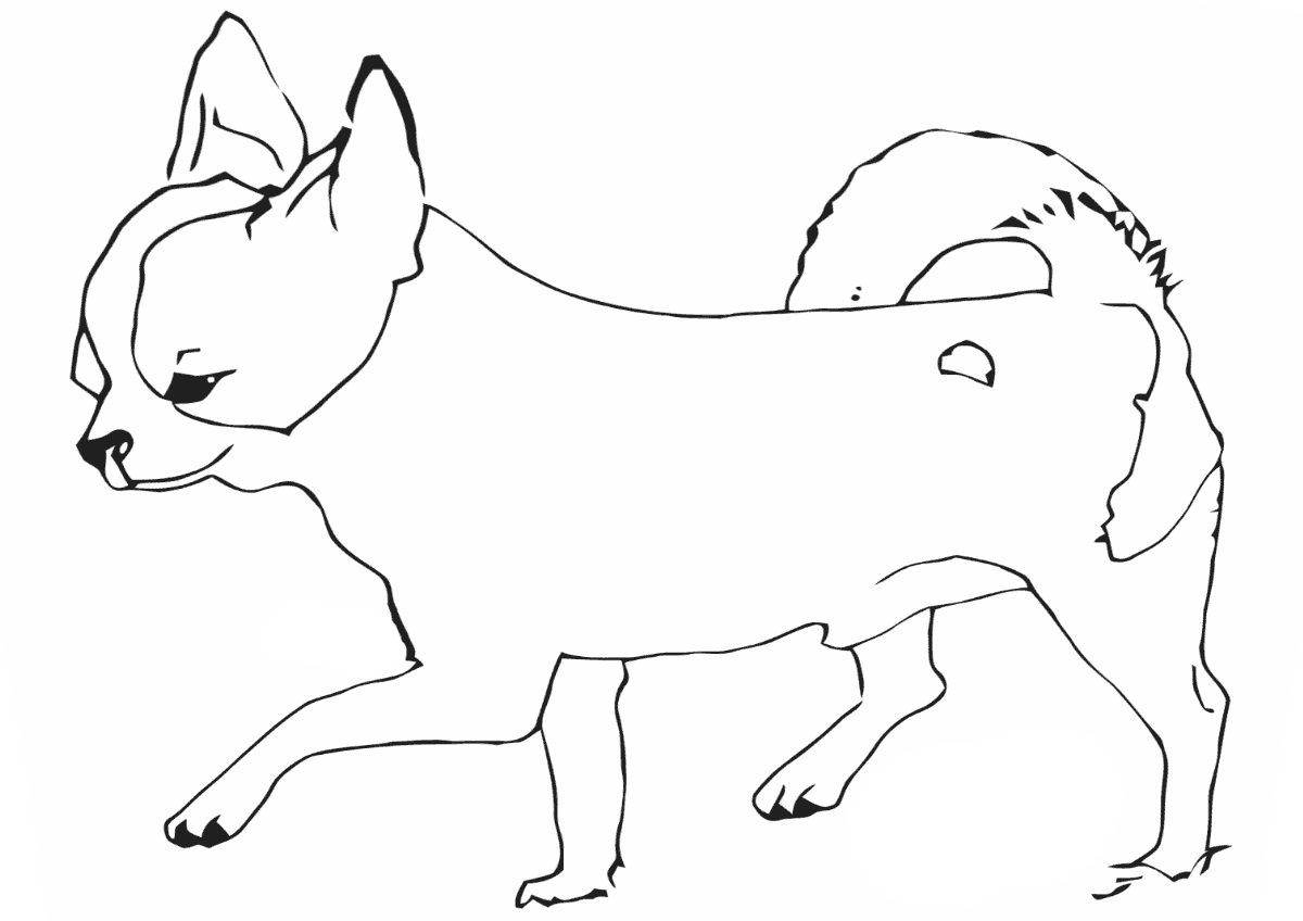 Chihuahua Coloring Pages - Best Coloring Pages For Kids