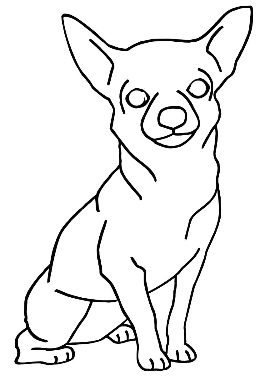 chihuahua coloring easy