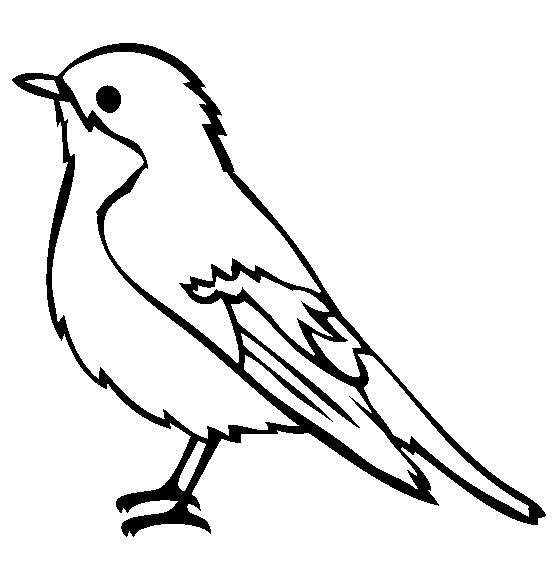 Robin Coloring Pages - Best Coloring Pages For Kids