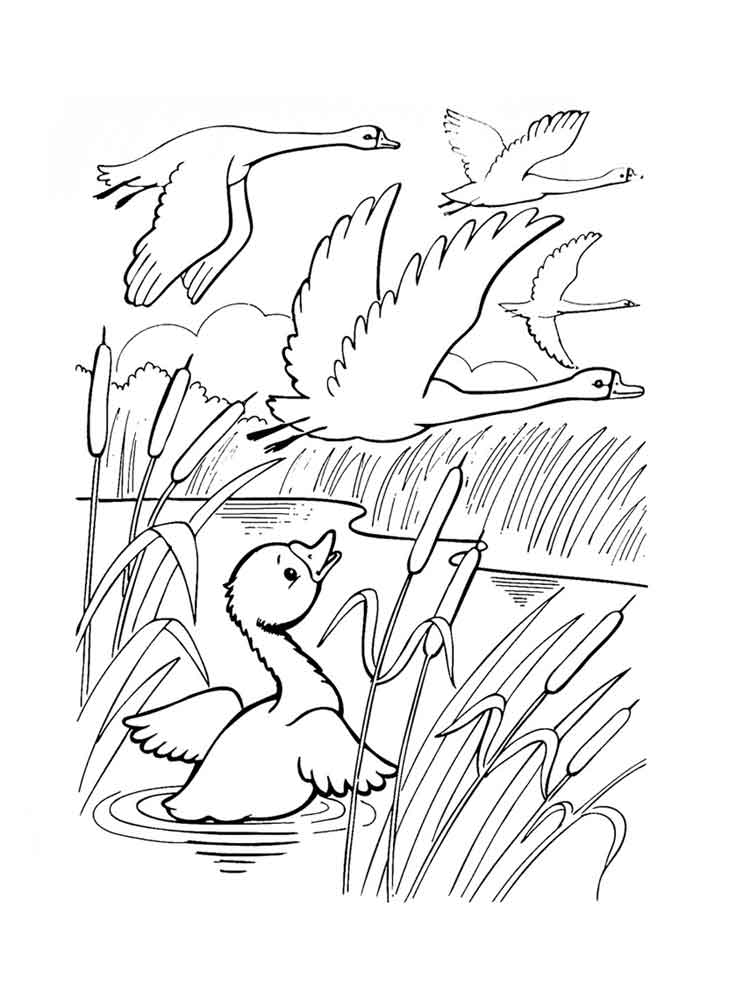 Swan Coloring Pages - Best Coloring Pages For Kids