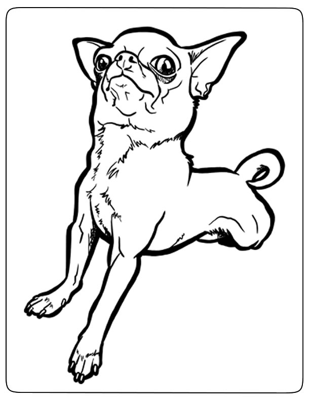 Chihuahua Coloring Pages - Best Coloring Pages For Kids