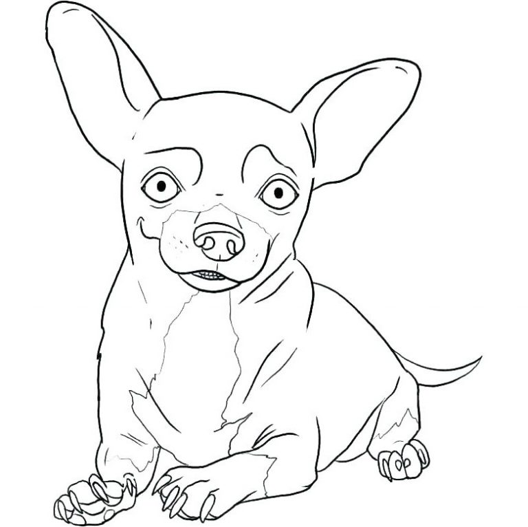 Chihuahua Coloring Pages - Best Coloring Pages For Kids