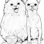 Realistic Chihuahuas Coloring Pages