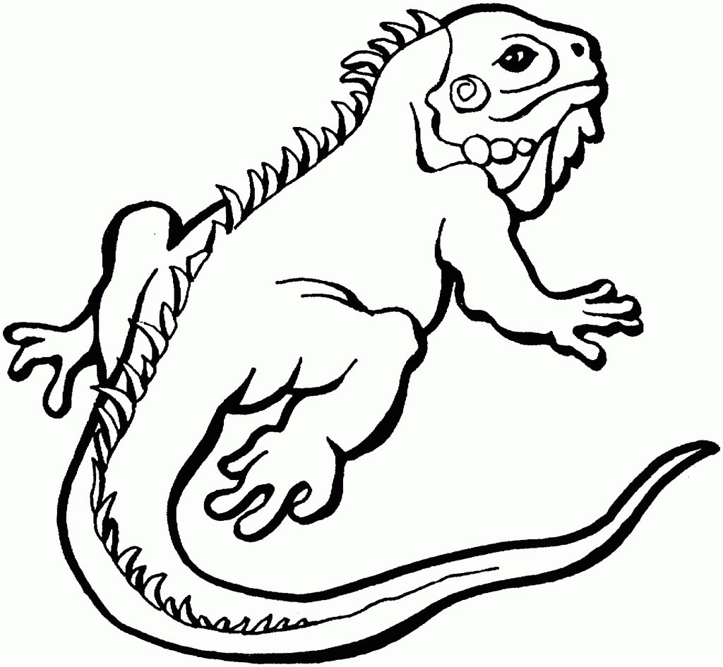 Reptile Coloring Pages