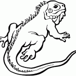 Reptile Coloring Pages