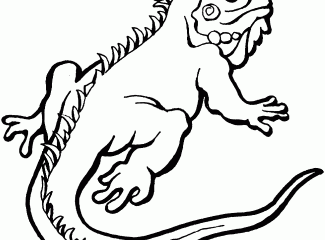 Reptile Coloring Pages