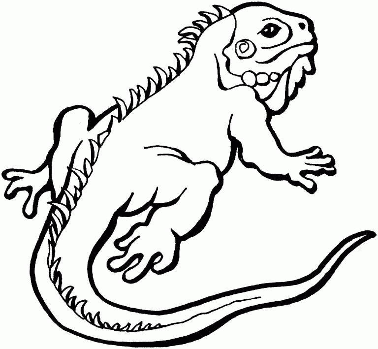 Reptile Coloring Pages   Best Coloring Pages For Kids
