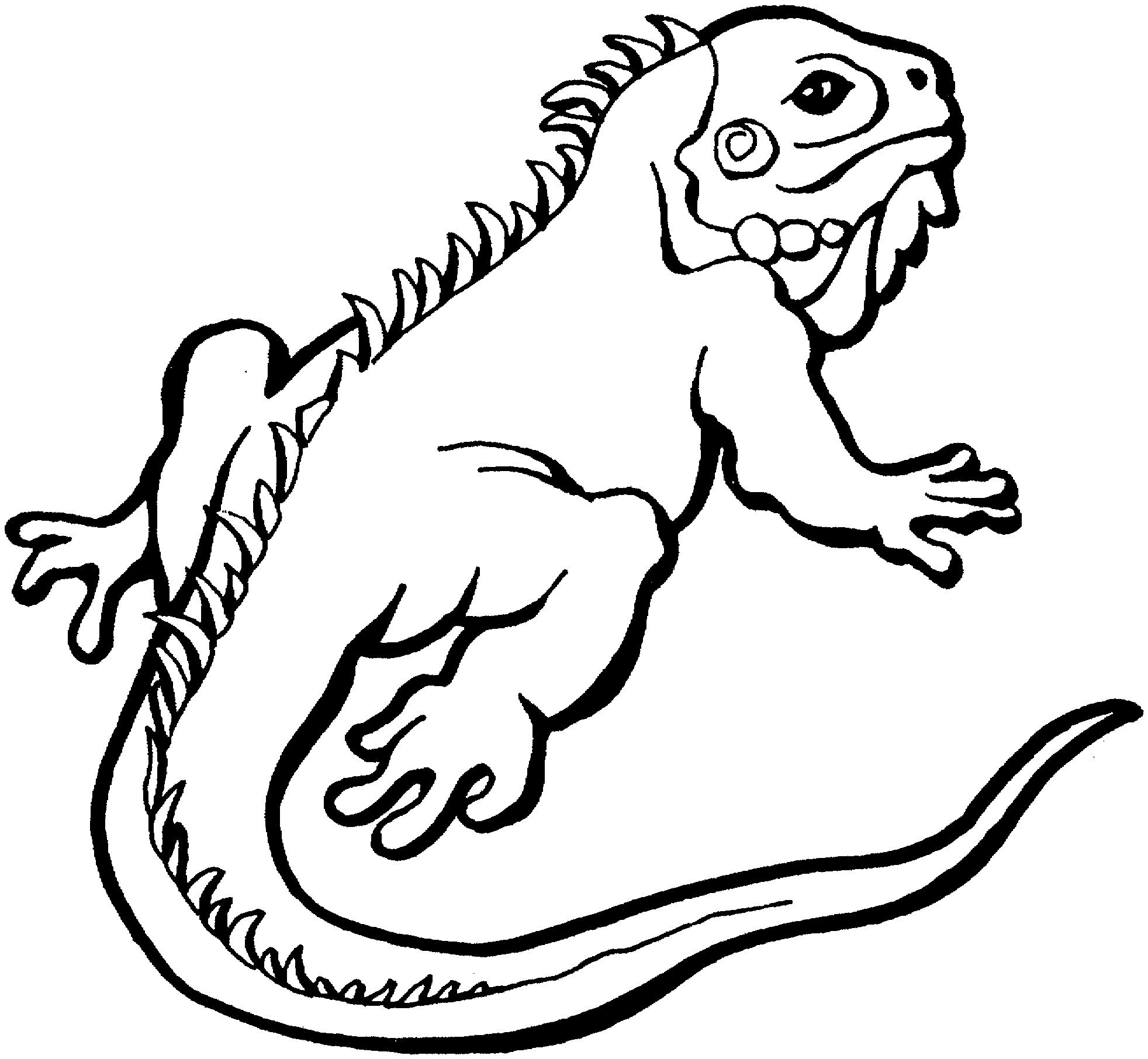 Cute Iguana Coloring Page