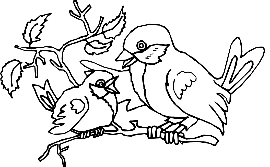 Robin Coloring Pages - Best Coloring Pages For Kids