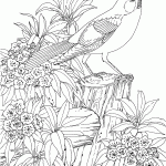 Robin In Outdoor Scene Coloring Page