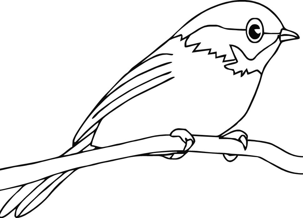 Robin On Perch Coloring Page