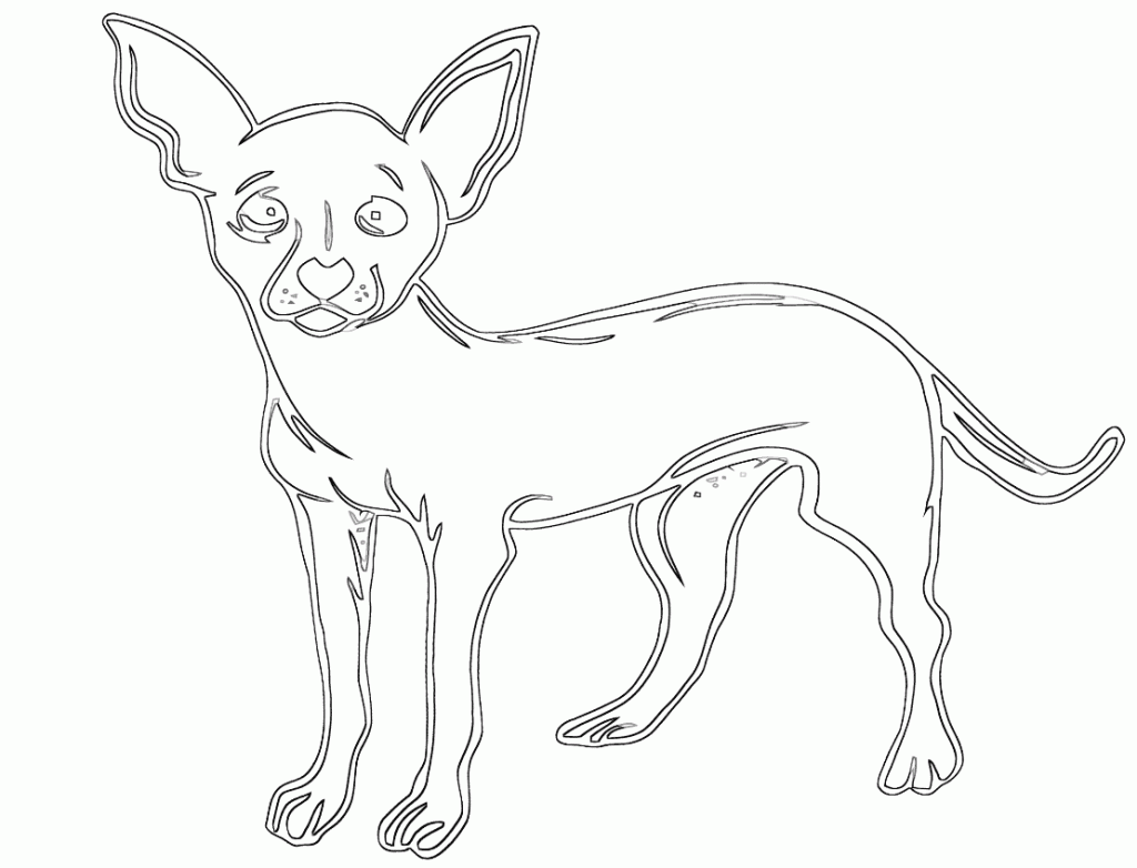 Simple Chihuahua Coloring Pages