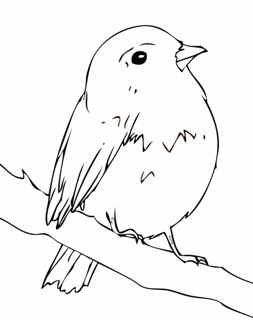 Simple Robin Coloring Pages