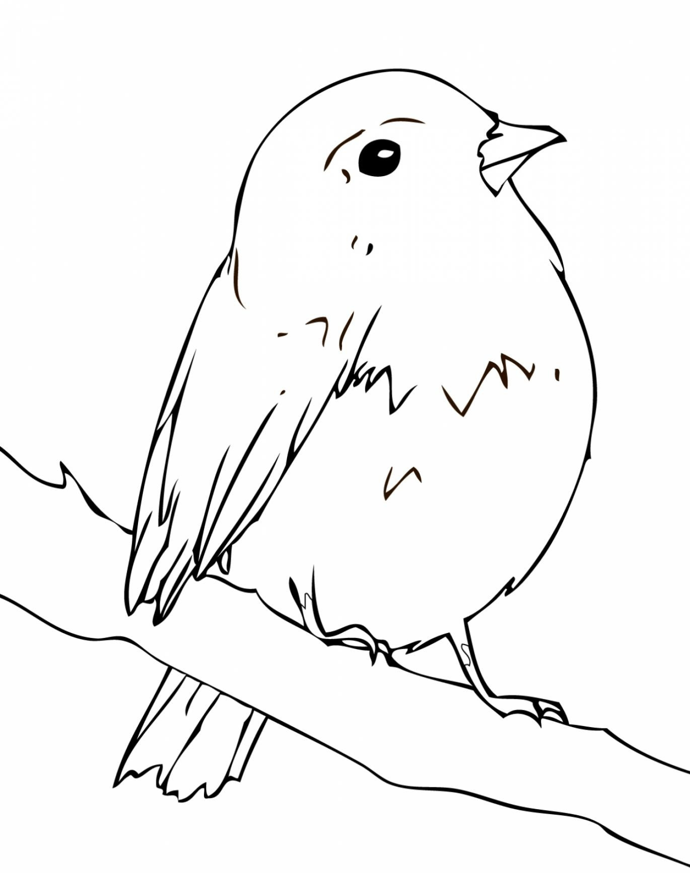 Download Robin Coloring Pages - Best Coloring Pages For Kids