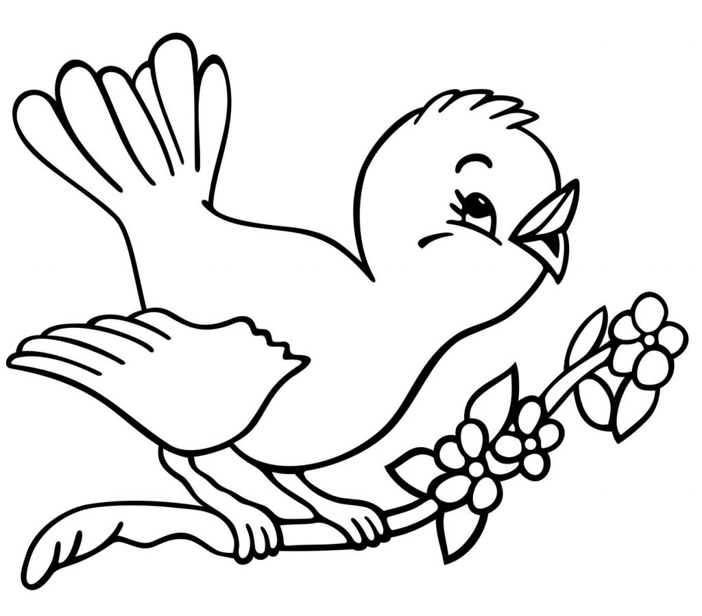 Singing Robin Bird Coloring Page