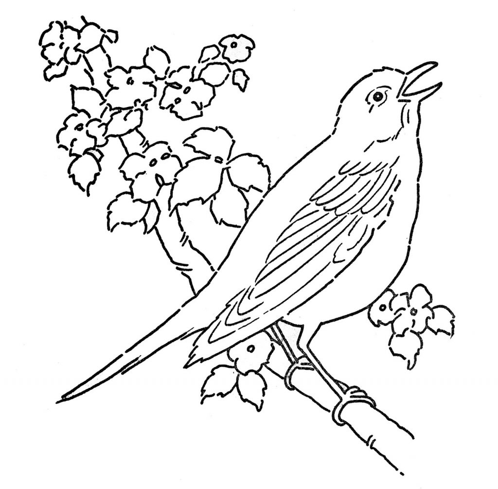 Singing Robin Bird Coloring Pages