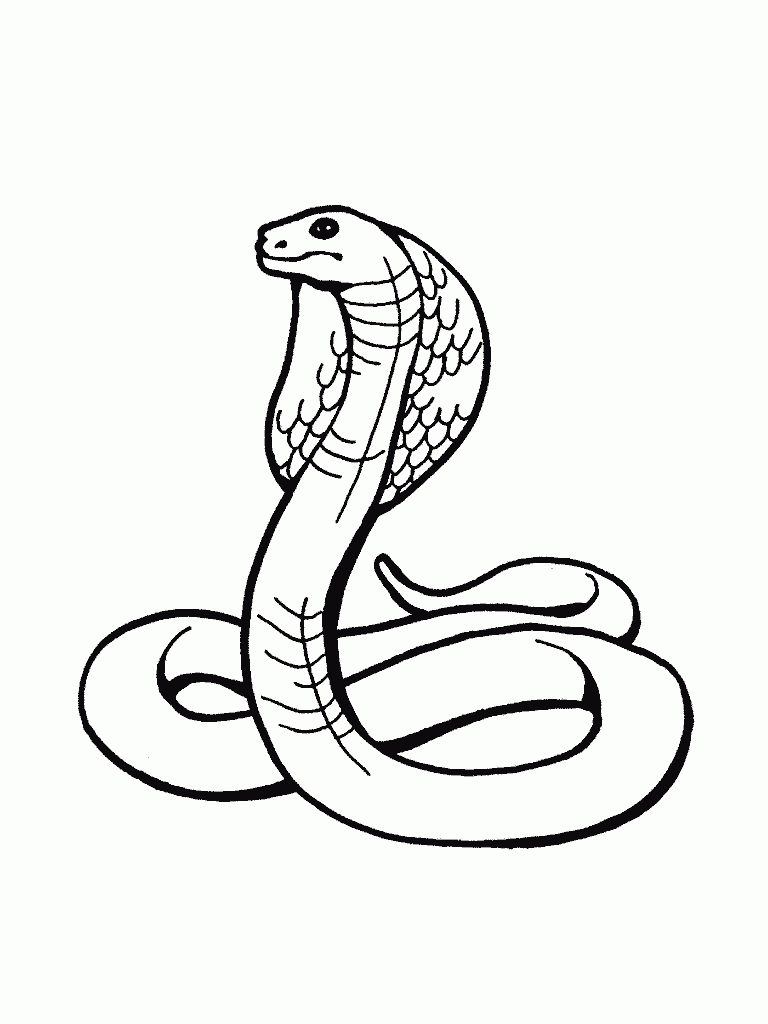 Snake Reptile Coloring Pages