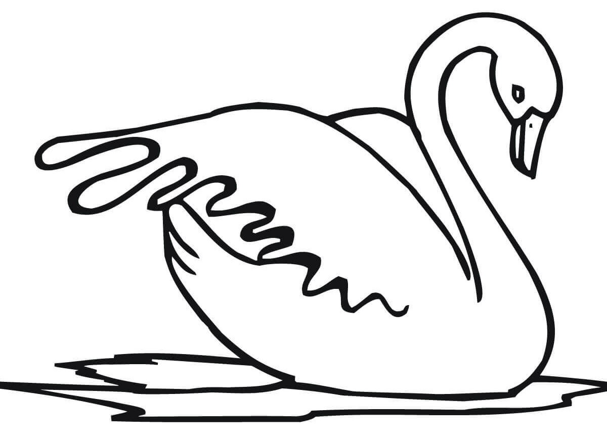 Swan Coloring Pages - Best Coloring Pages For Kids