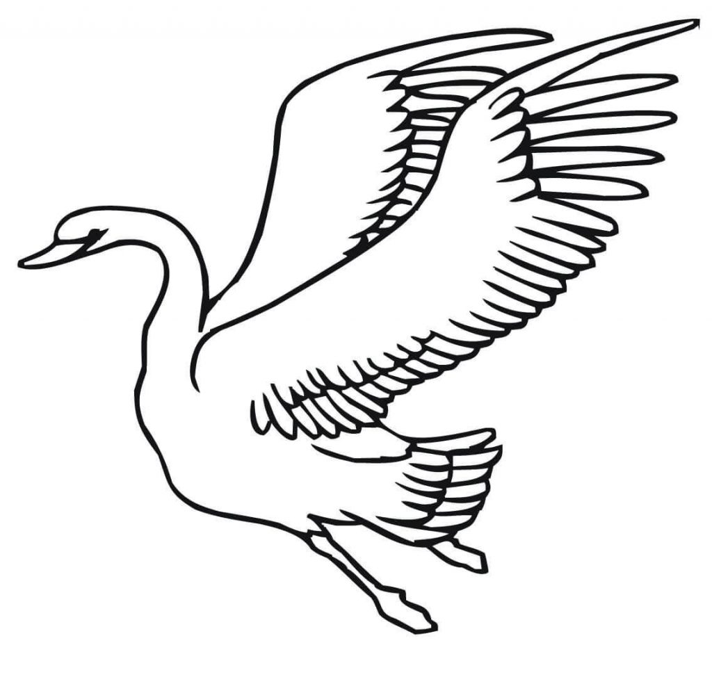 Swan Flying Coloring Page