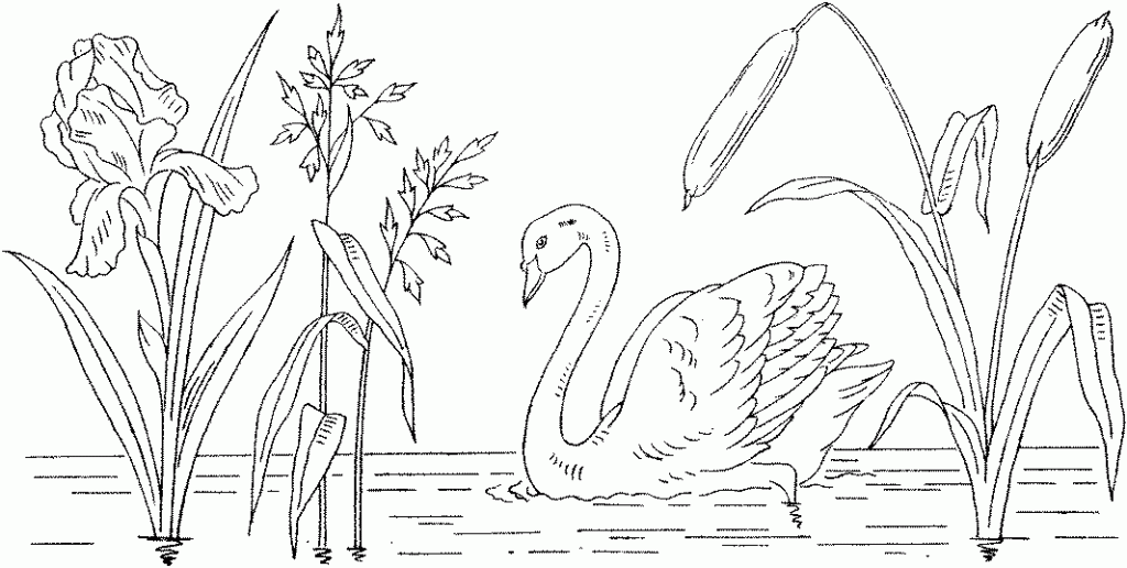 Swan Landscape Scene Coloring Page