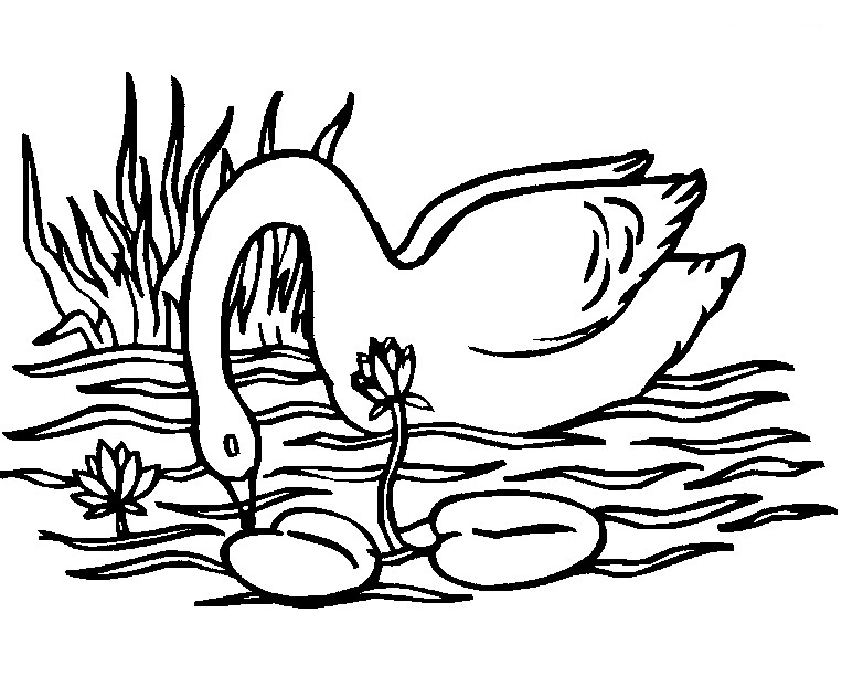 Swan Coloring Pages - Best Coloring Pages For Kids