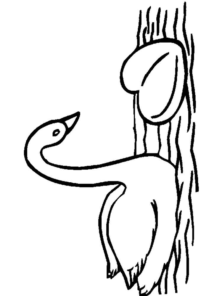Swan In Water Coloring Page
