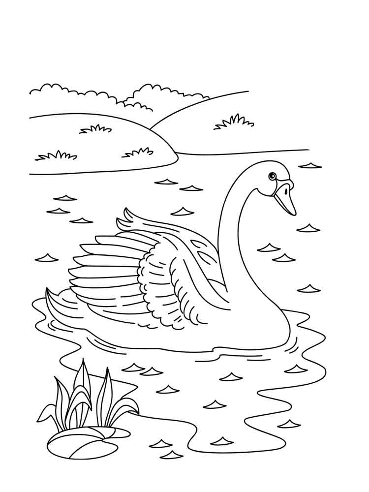 Swan In Water Scene Coloring Page