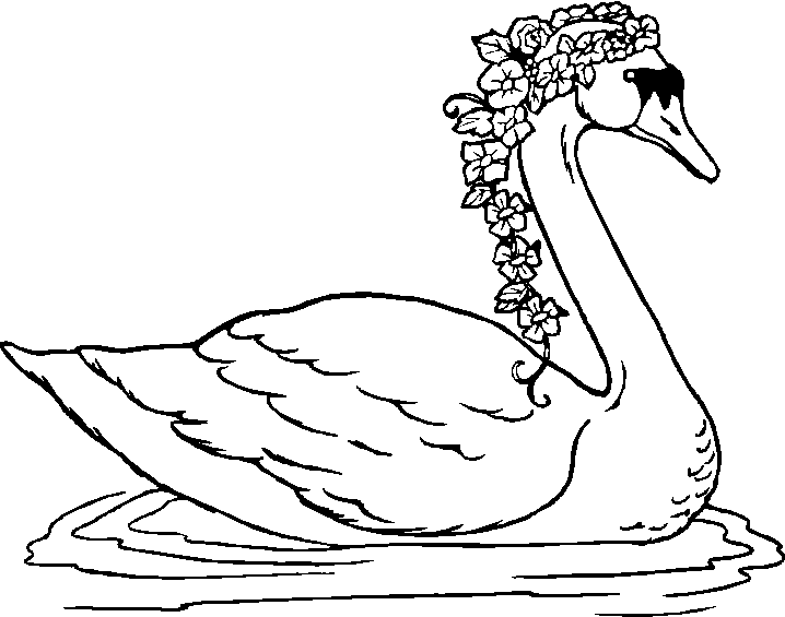 Swan With Flowers Coloring Page