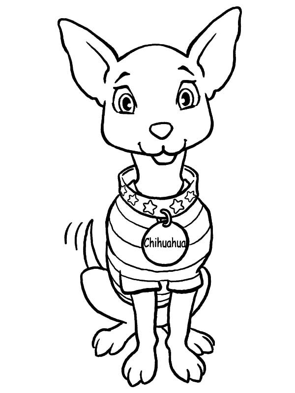 Chihuahua Coloring Pages - Best Coloring Pages For Kids