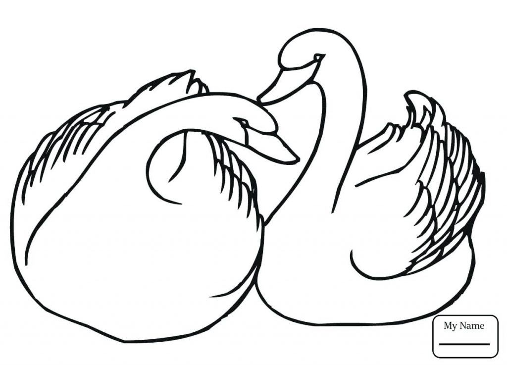 Two Swans Coloring Pages