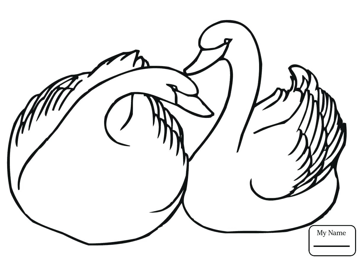 Swan Coloring Pages Best Coloring Pages For Kids