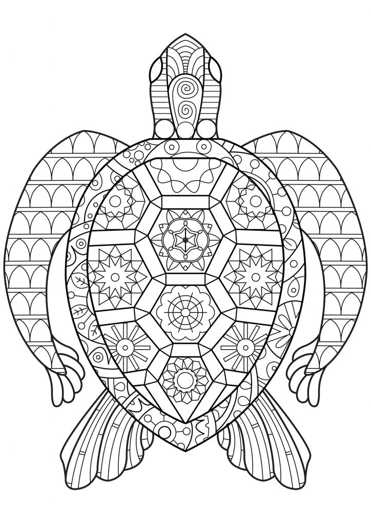 Zen Turtle Pattern Reptile Coloring