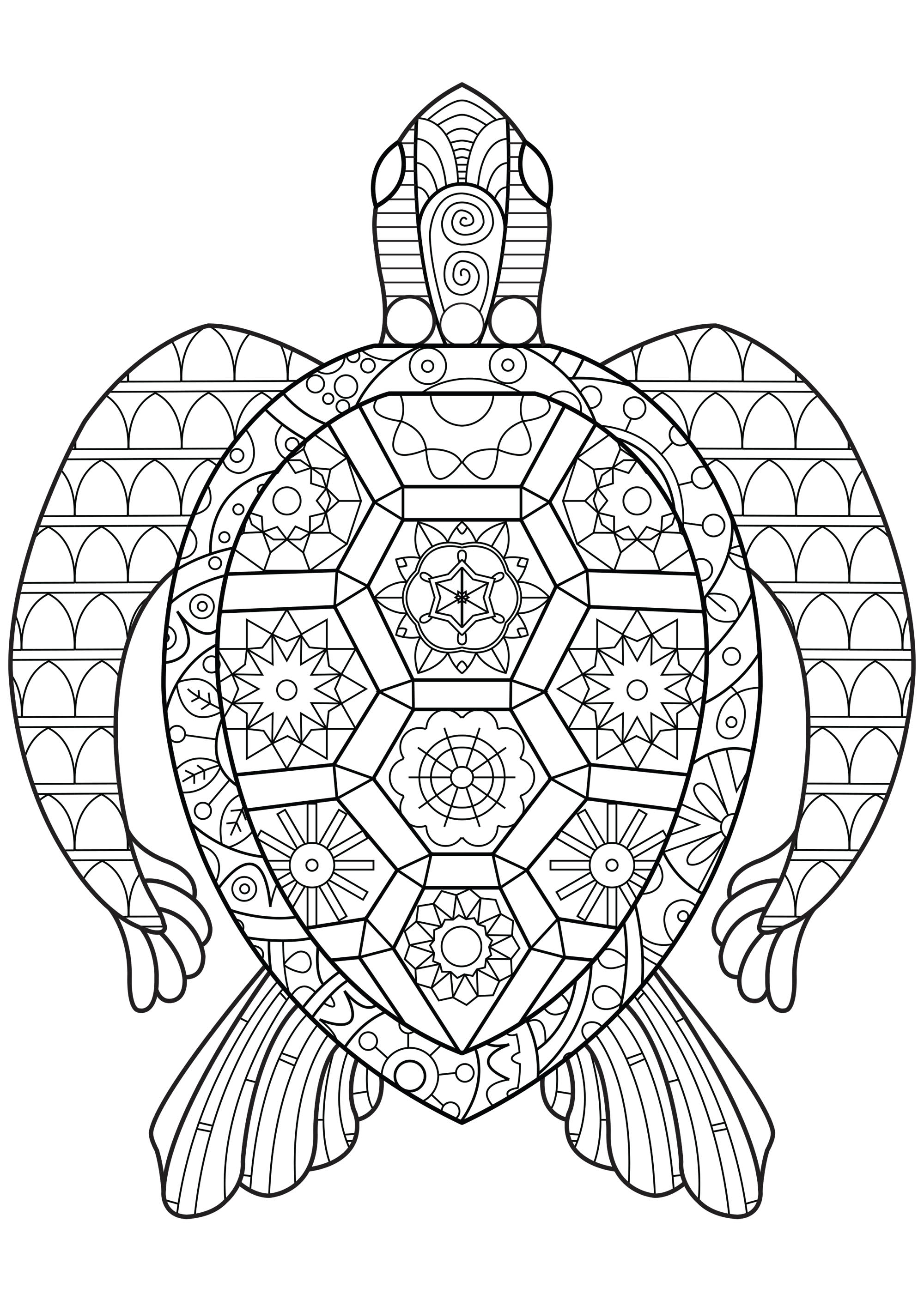 Reptile Coloring Pages