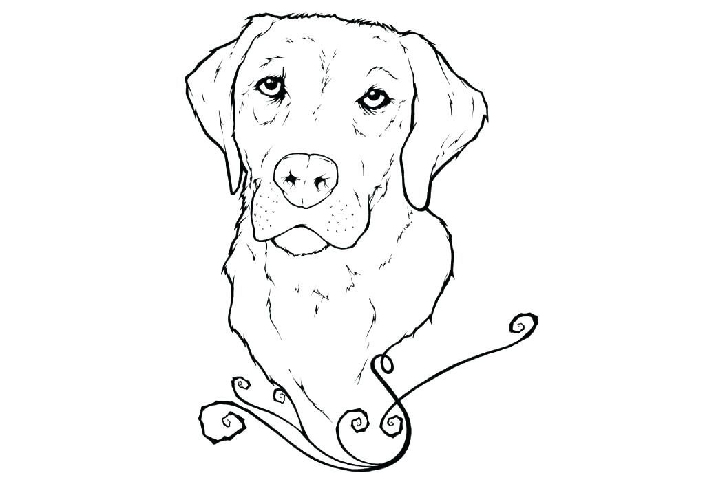 Adult Golden Retriever Coloring Pages