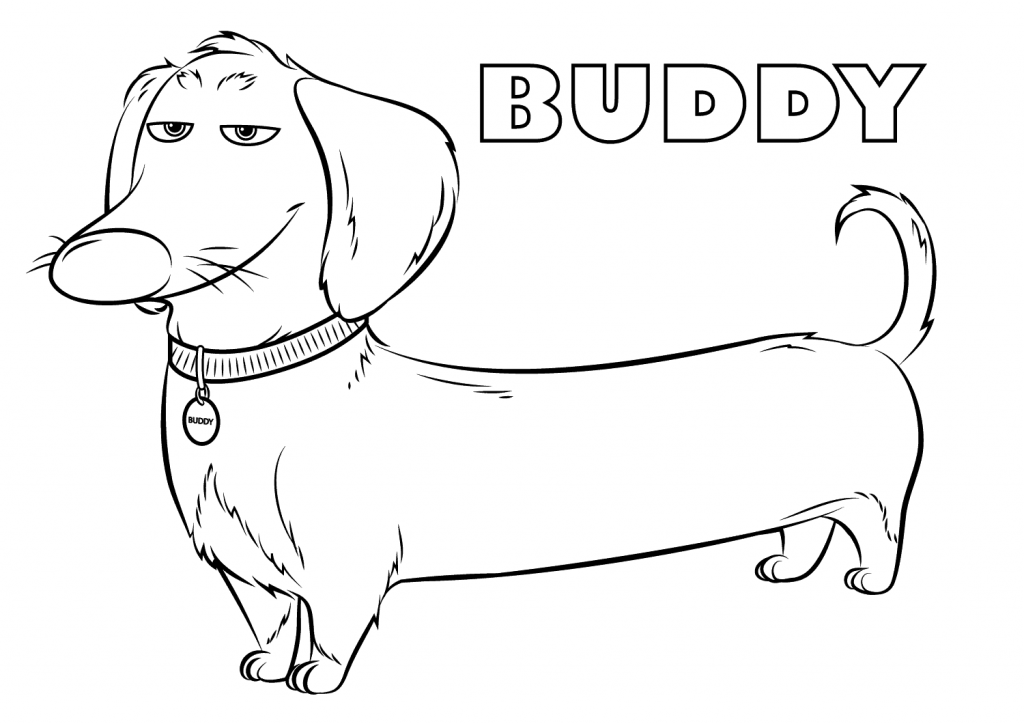 Buddy Dachshund Dog Coloring Page