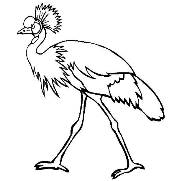 Crane Bird Coloring Pages