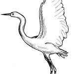 Crane Coloring Page