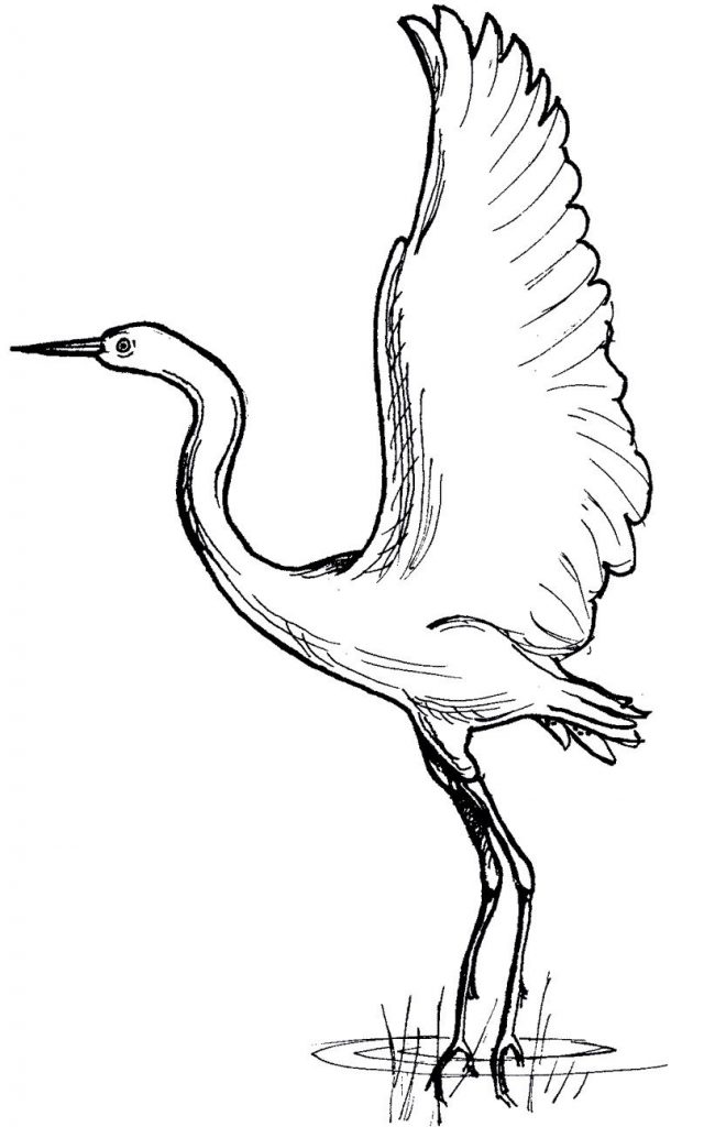 Crane Coloring Page