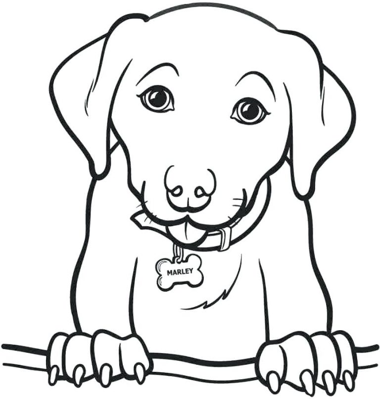 Golden Retriever Coloring Pages - Best Coloring Pages For Kids