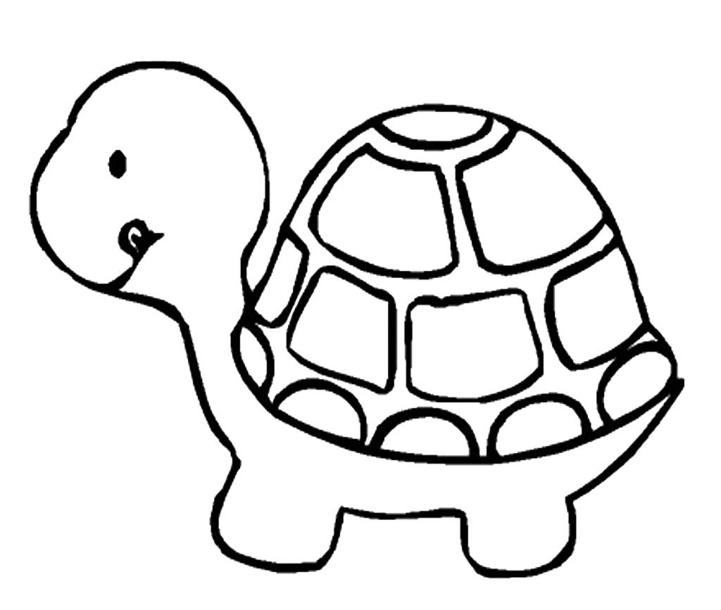 Cute Tortoise Coloring Page