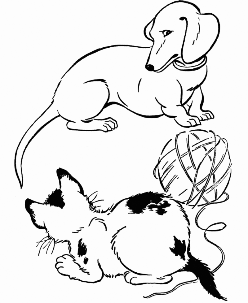 Dachshund Dog And Cat Coloring Pages