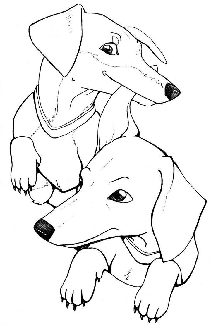 Weiner Dog Coloring Page / Weiner Dog Drawing | Free download on