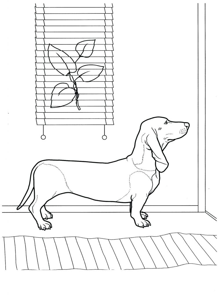 Dachshund Waiting At Door Coloring Pages