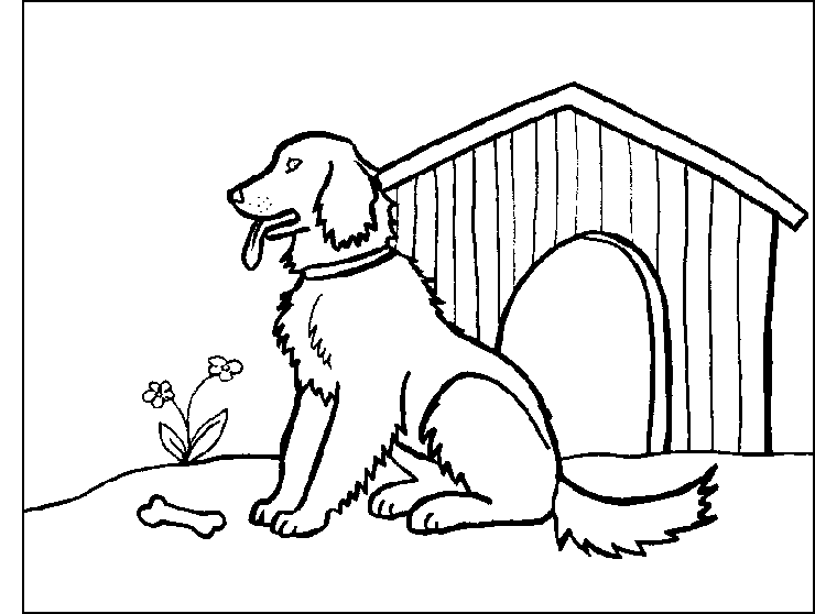 Golden Retriever Dog House Coloring Page