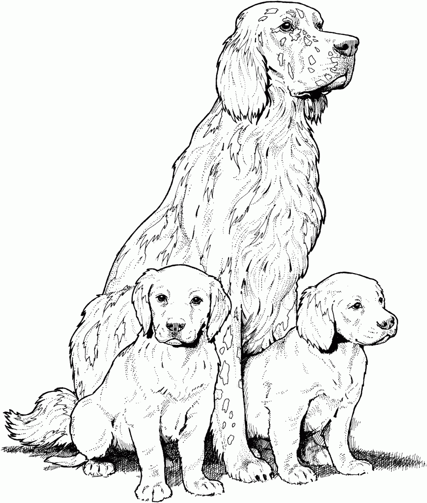 Golden Retriever Mom With Puppies Coloring