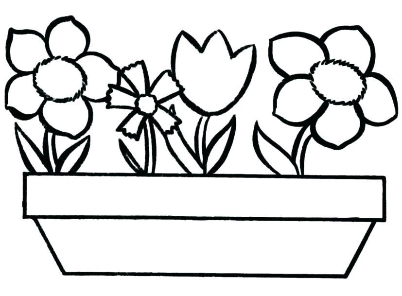 Download Flower Pot Coloring Pages - Best Coloring Pages For Kids