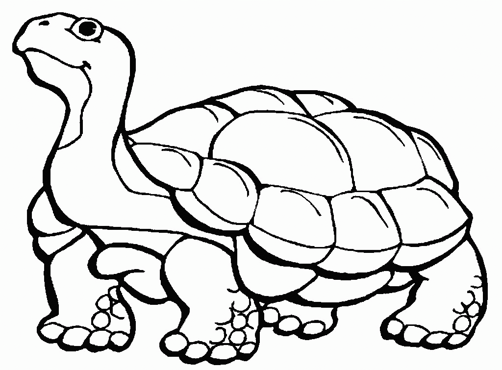 Proud Tortoise Coloring Page