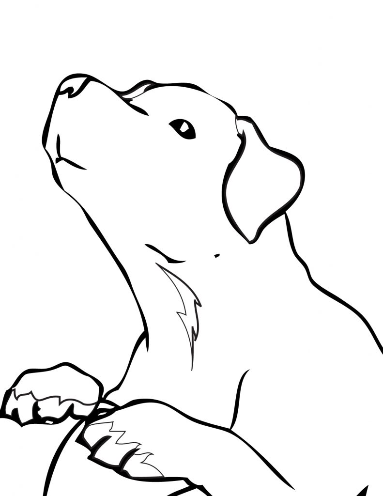 Simple Golden Retriever Coloring Pages