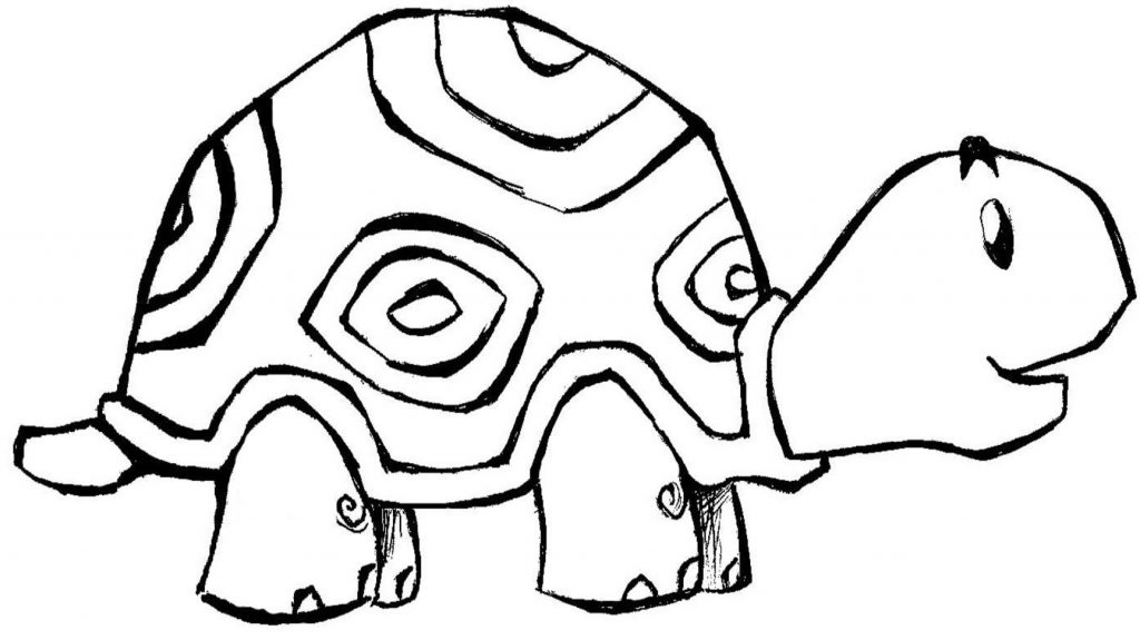 Tortoise Coloring Pages