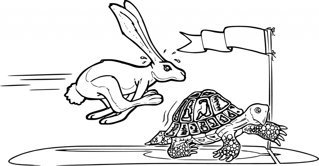 Tortoise And Hare Race Coloring Page